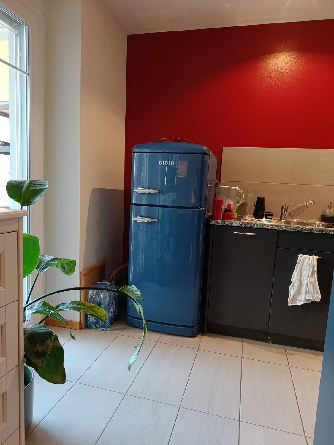 Room in a shared flat