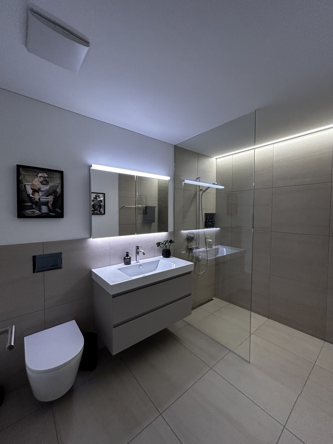 3 ½ rooms apartment