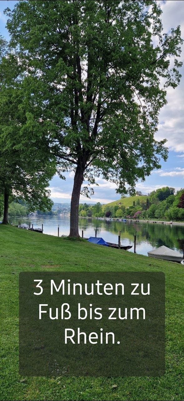 2 ½ rooms furnished flat, Foto 10 von 10