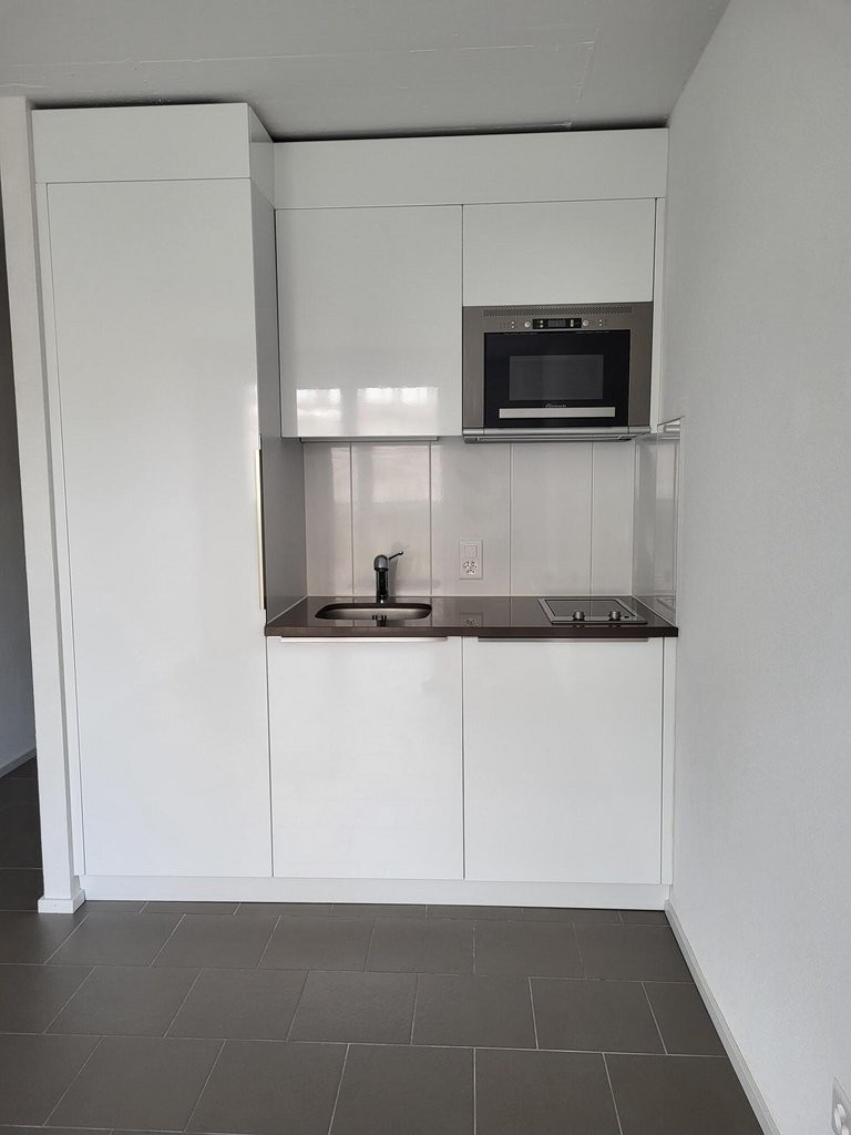 1 ½ Zimmer Wohnung
