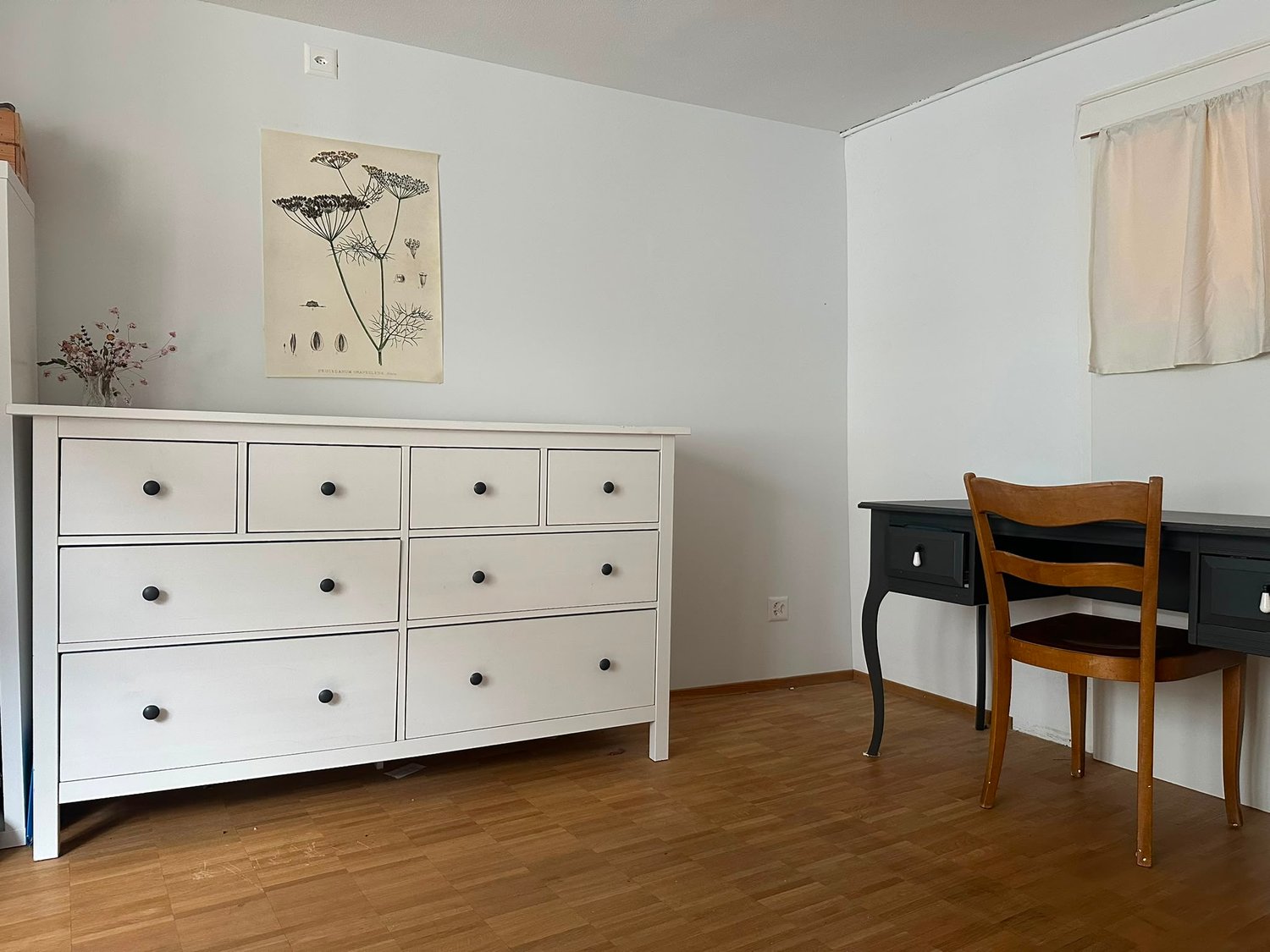 Chambre en colocation