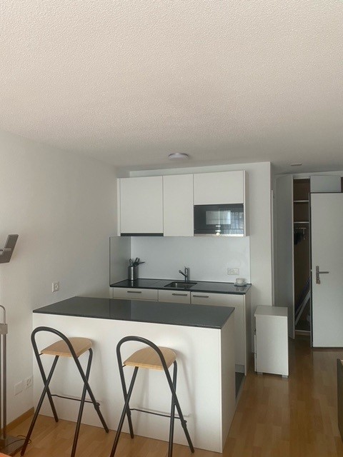1 room furnished flat