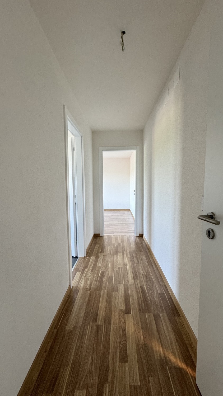 1 rooms apartment