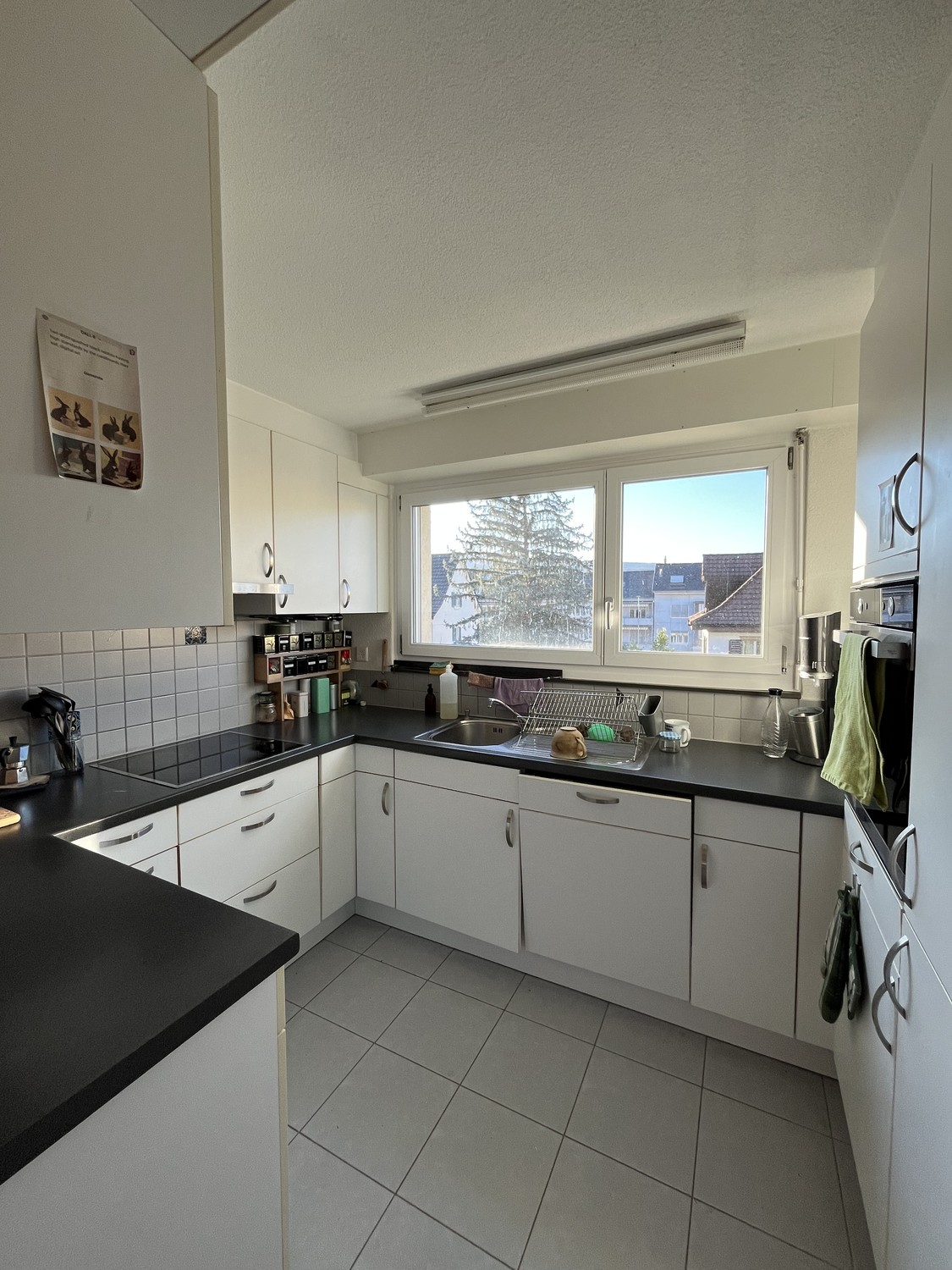 Room in a shared flat
