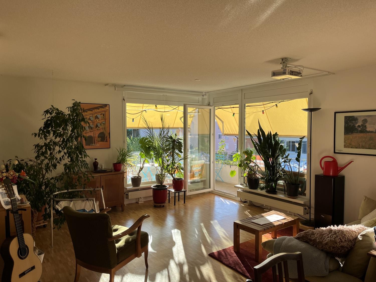 Room in a shared flat
