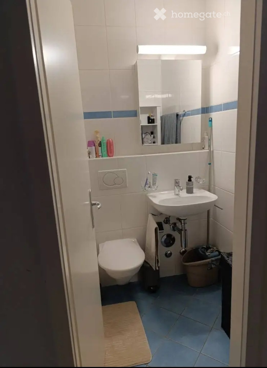 2 ½ Zimmer Wohnung