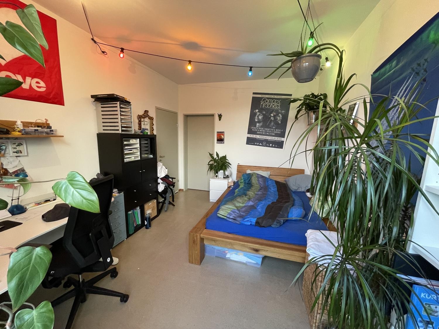 Room in a shared flat