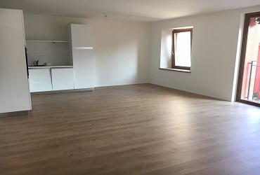 Appartement 3 ½ pièces