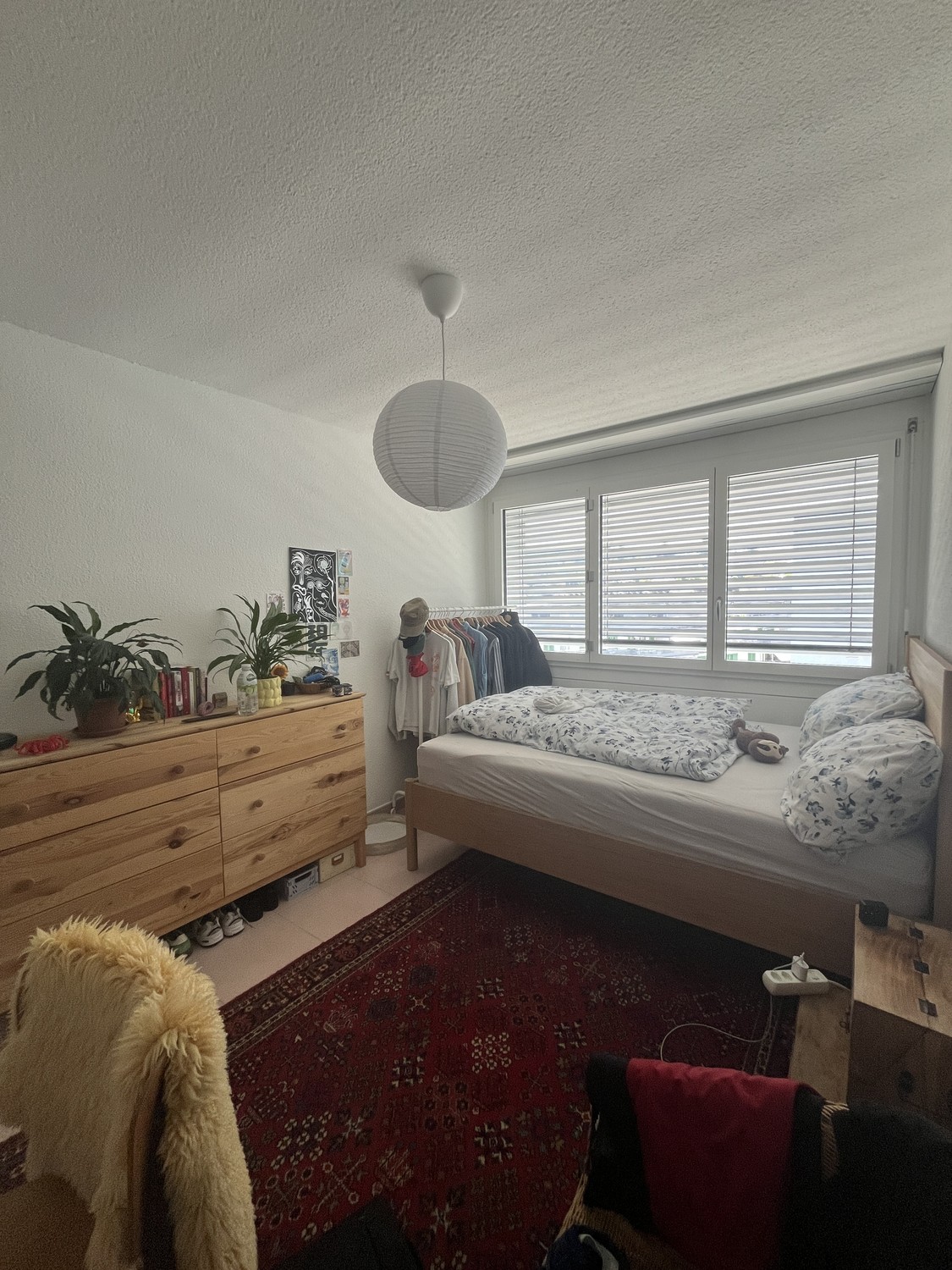 Room in a shared flat