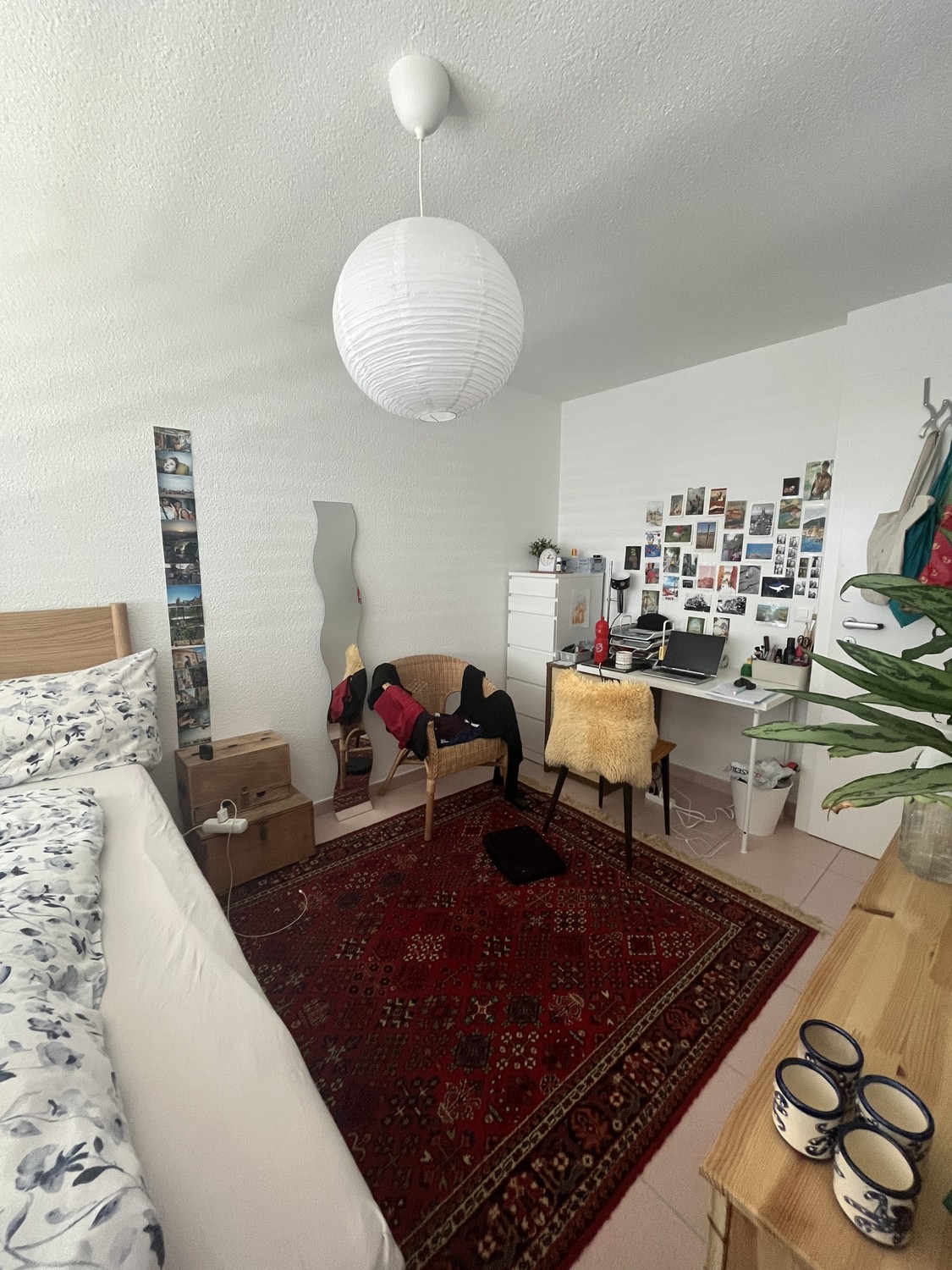 Room in a shared flat