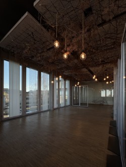 245m² office