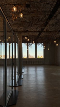 245m² office
