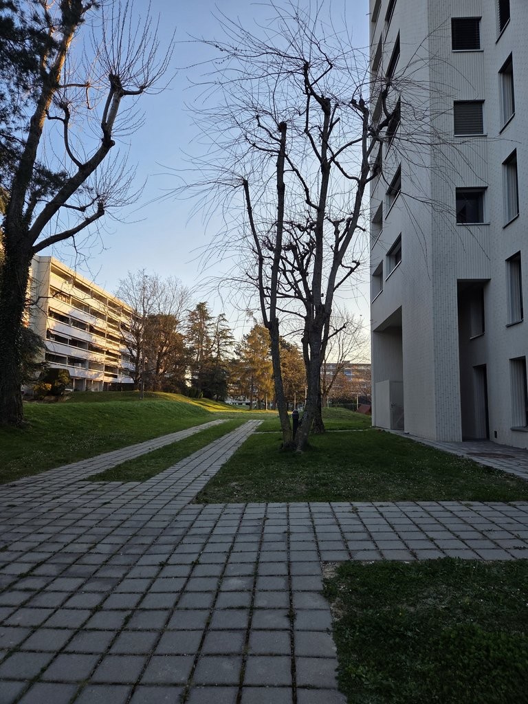 2 rooms apartment