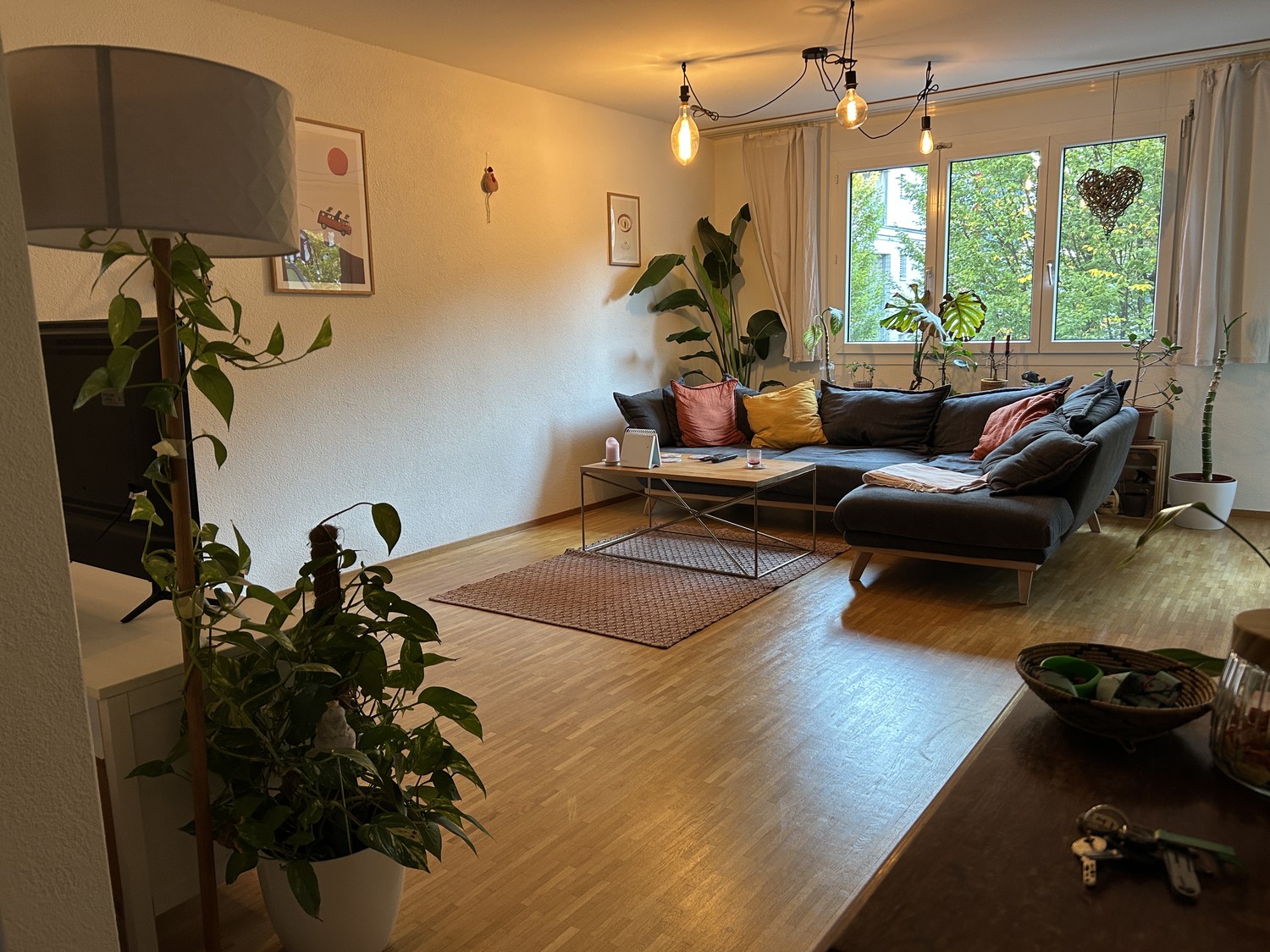 Room in a shared flat