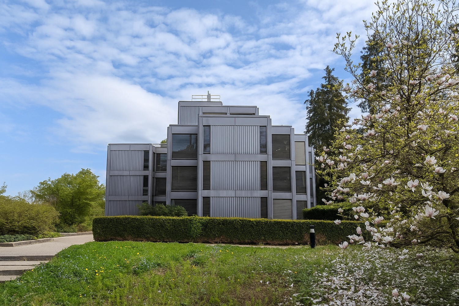 1807m² office, Foto 7 von 7