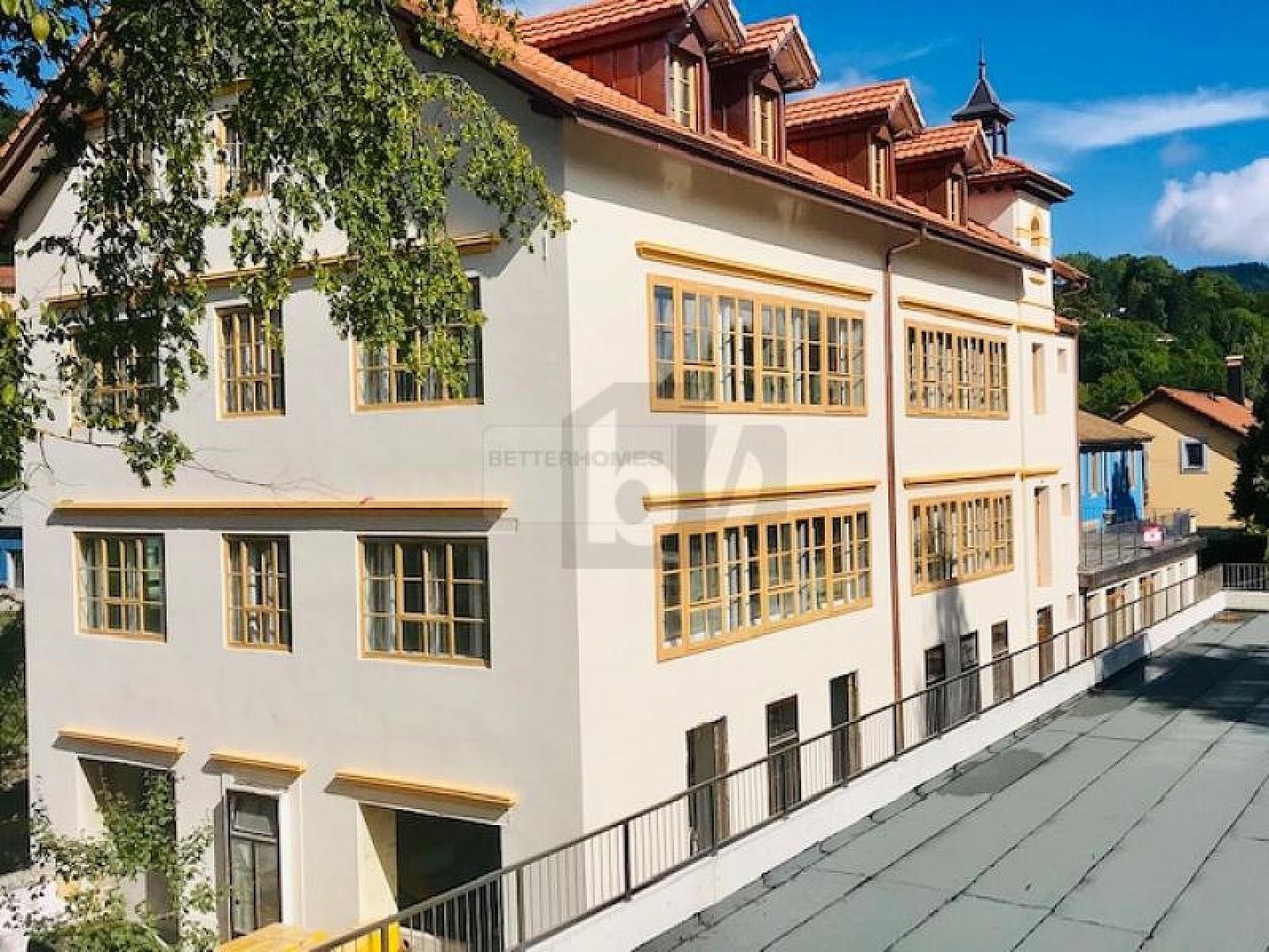 25 rooms multi family house