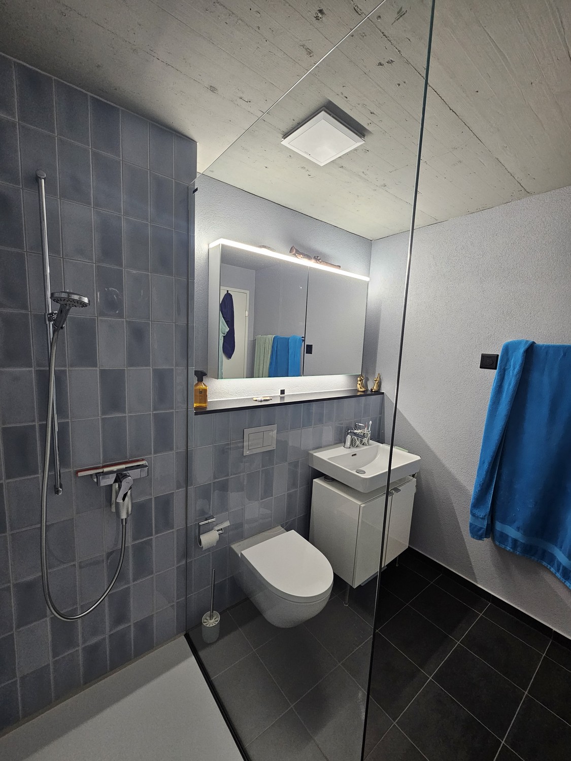 2 ½ rooms apartment