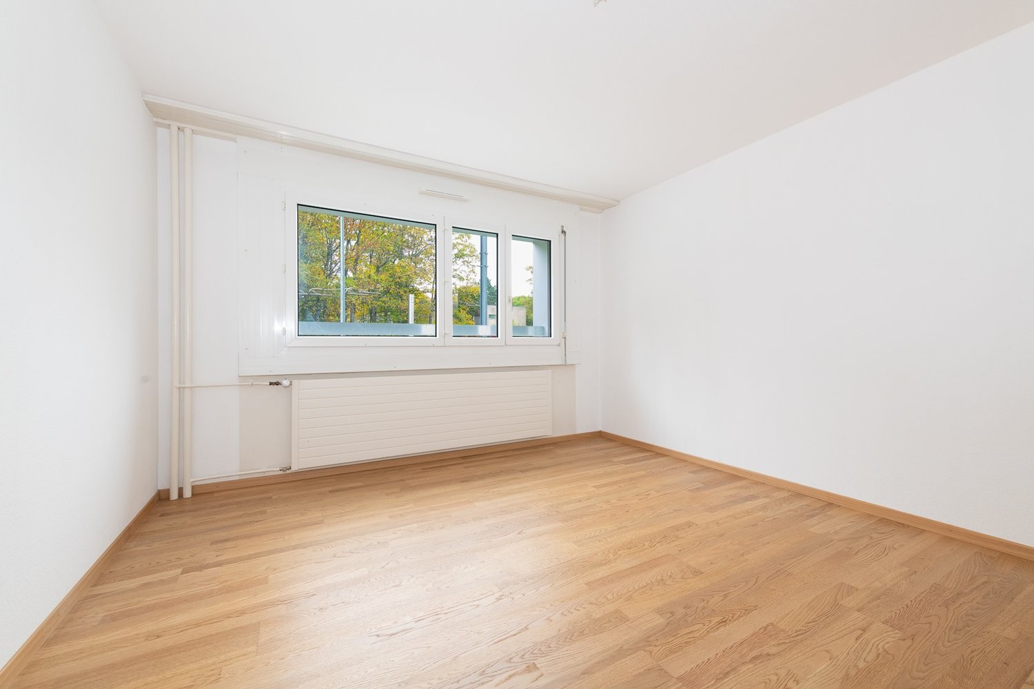 2 ½ Zimmer-Wohnung