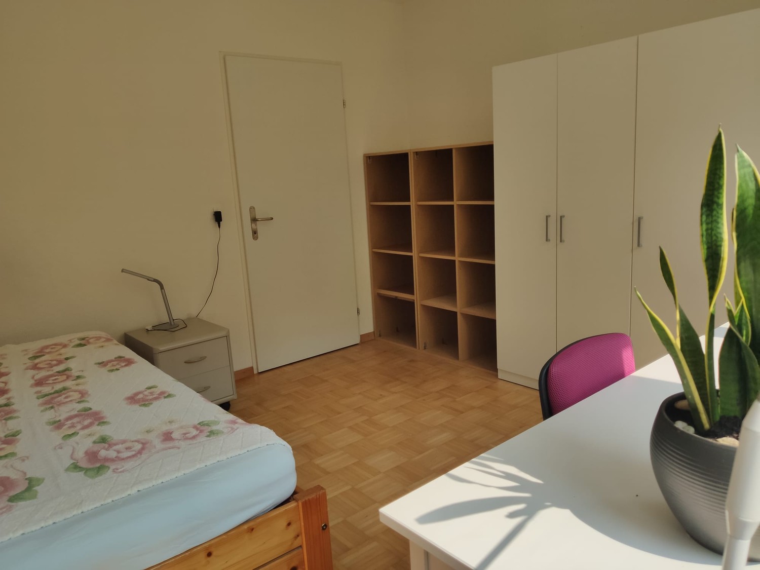 Room in a shared flat