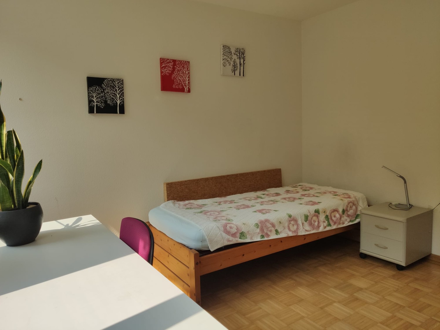 Room in a shared flat