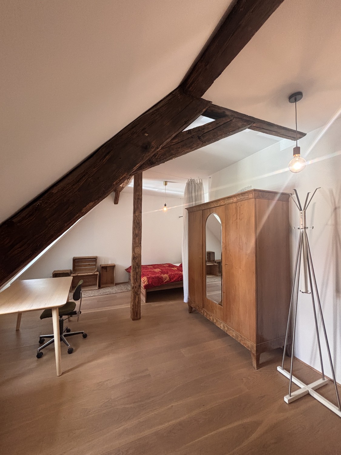 Room in a shared flat