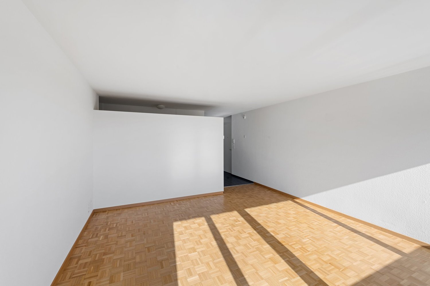 4 ½ rooms apartment, foto 4 di 10