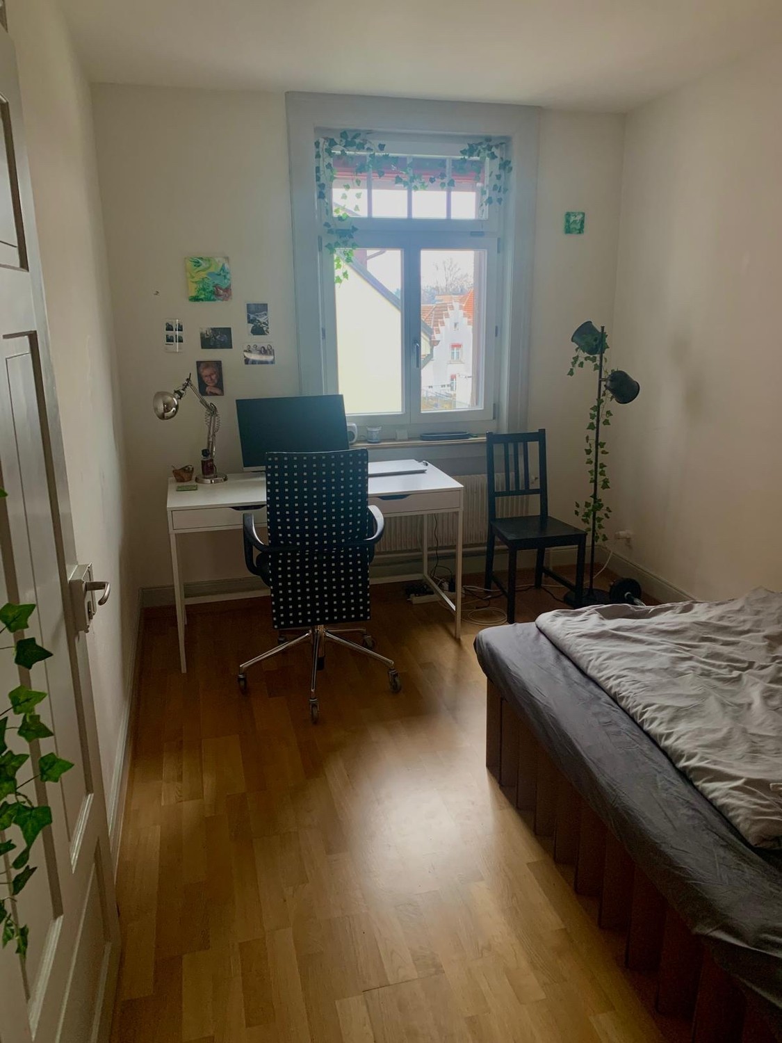 Room in a shared flat
