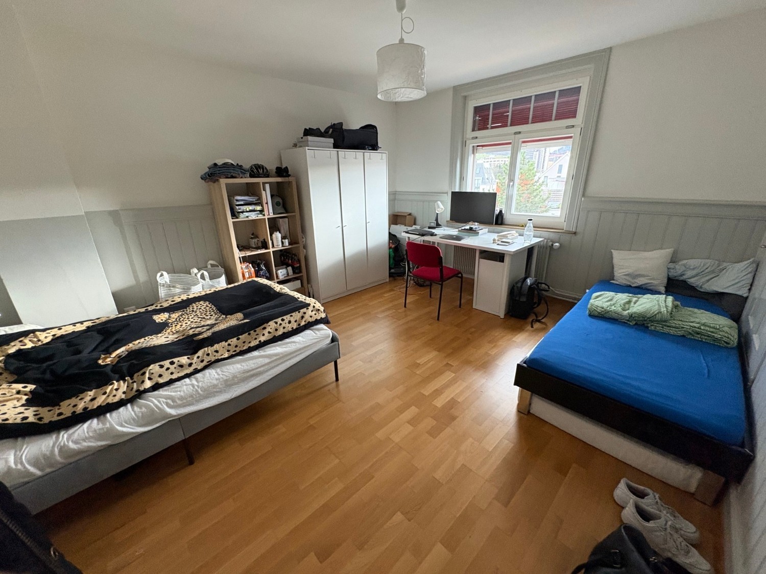 Room in a shared flat