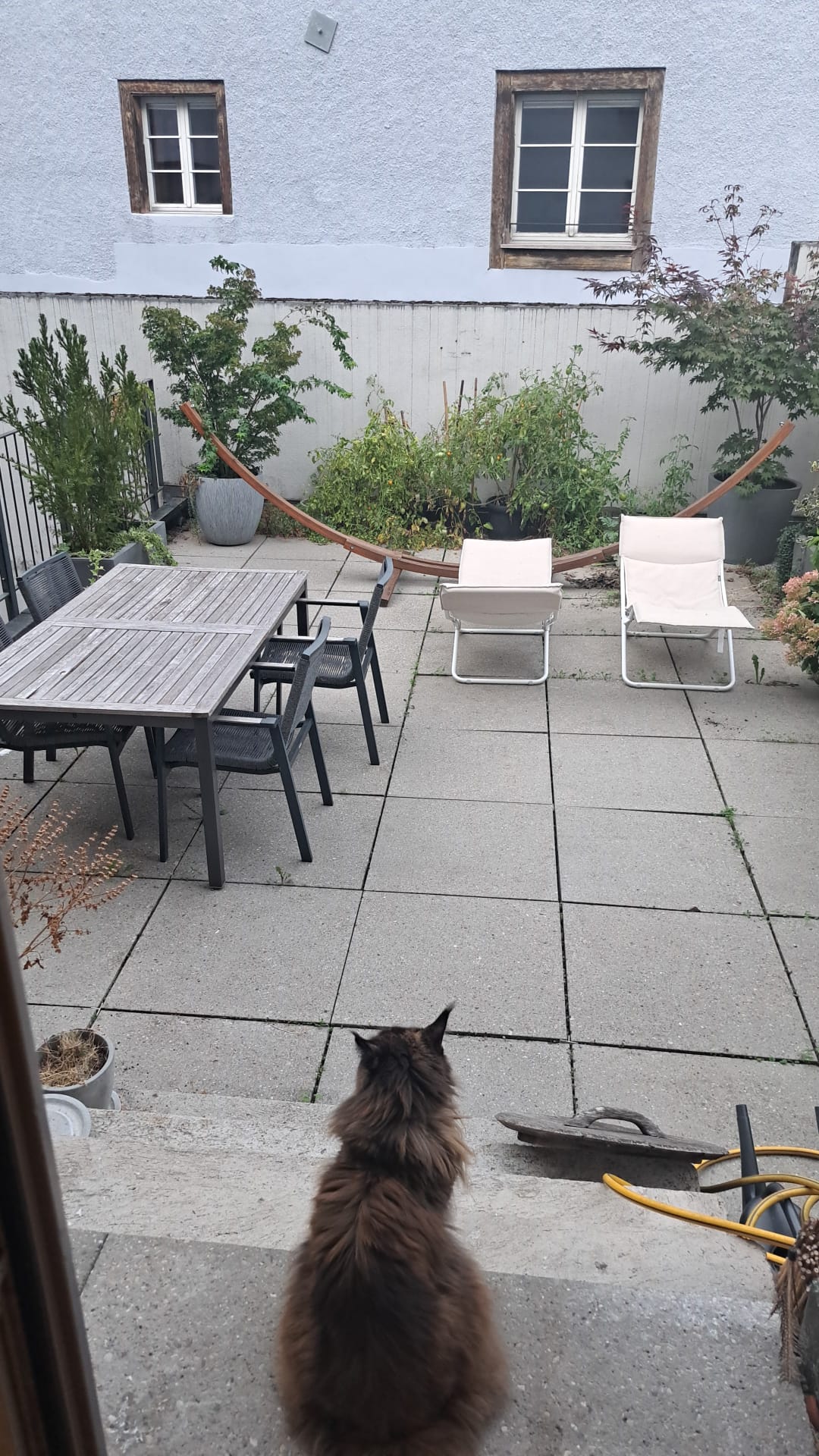 Zimmer in einer WG