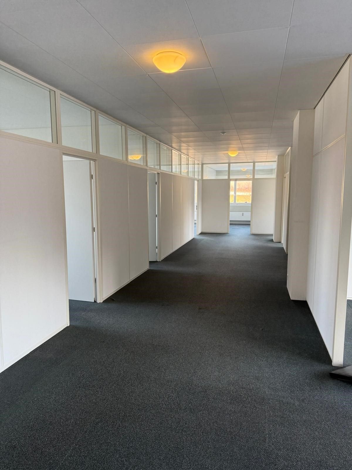 Commercial, Foto 1 von 10