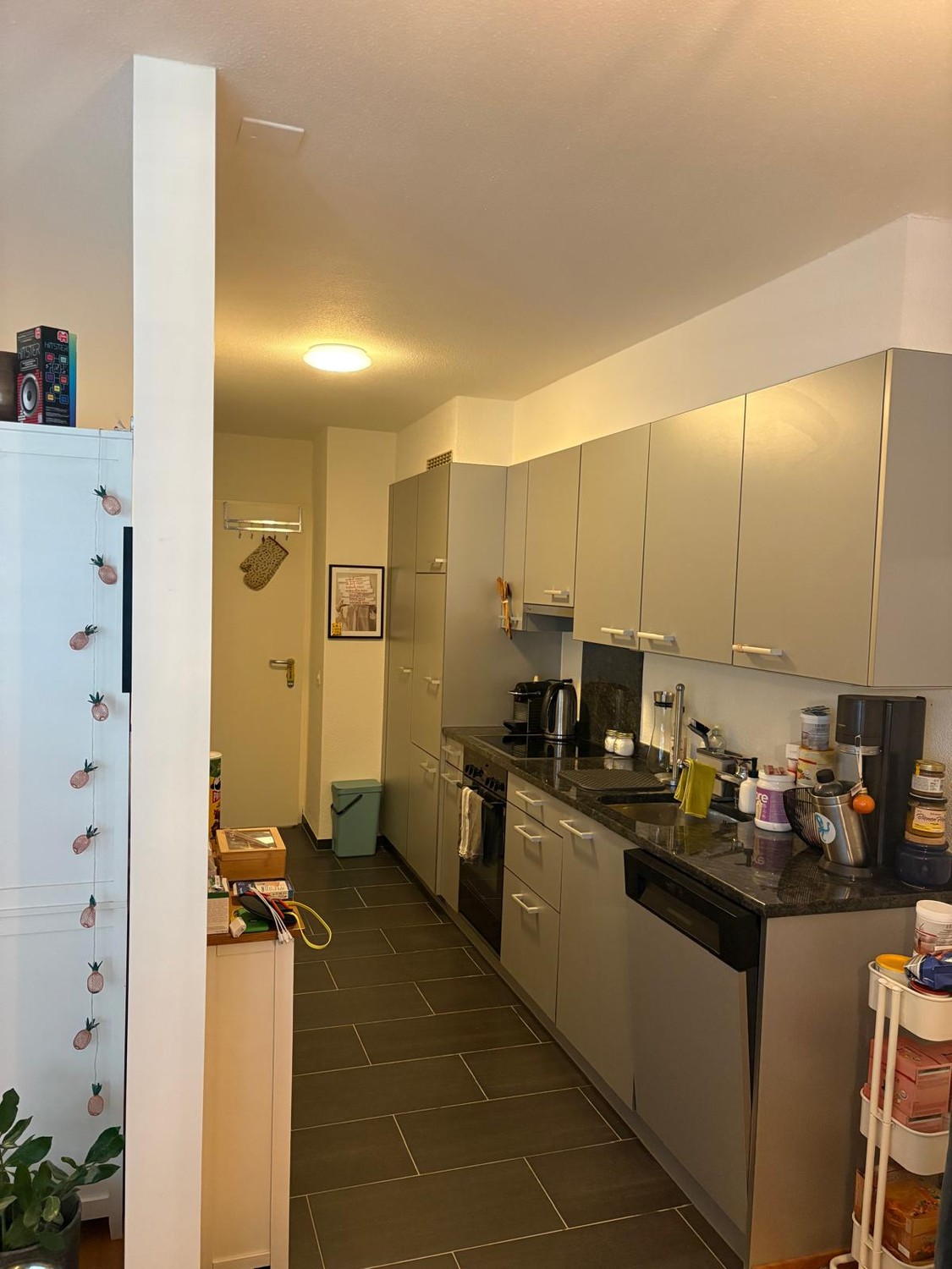 2 ½ room apartment","description":"2 1/2 room apartment in 8820 Wädenswil, with a view of the beautiful Lake Zurich, in a quiet residential area. Bus in the immediate vicinity of the apartment, BHF reachable in 8 minutes on foot. Parking space in a large parking garage, enclosed, available for rent.
