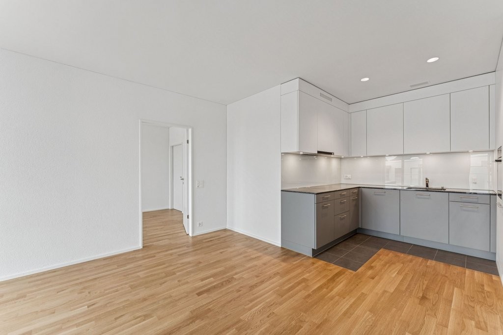 3 ½ rooms apartment (3)