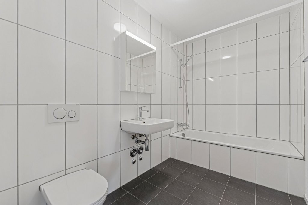 3 ½ rooms apartment (5)