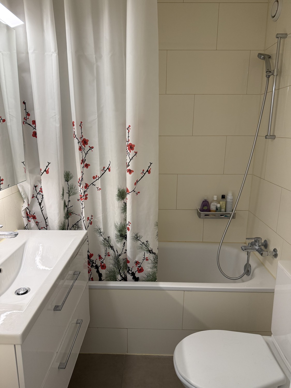 Appartamento di 1 ½ locali