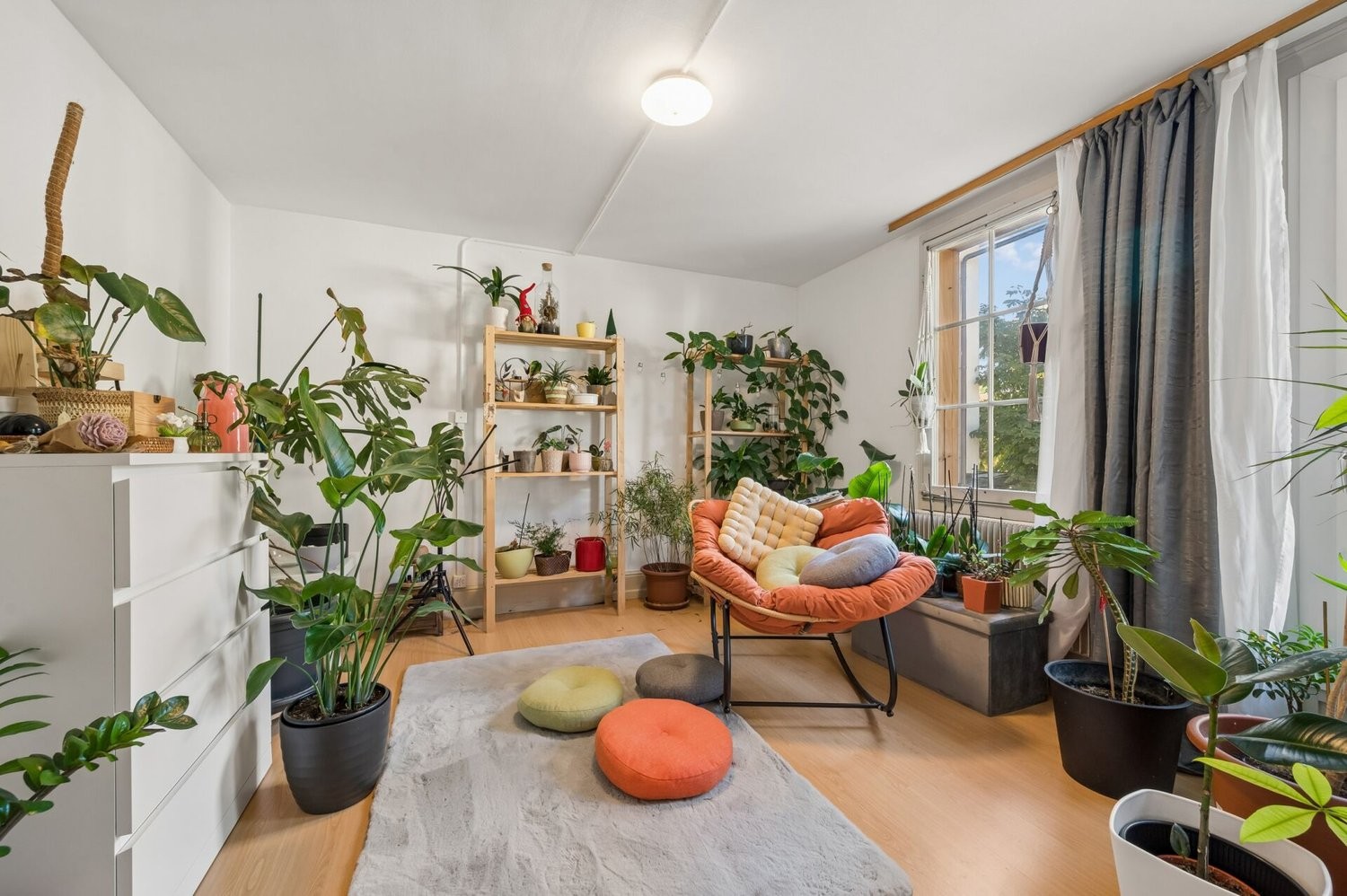 294m² living / commercial building