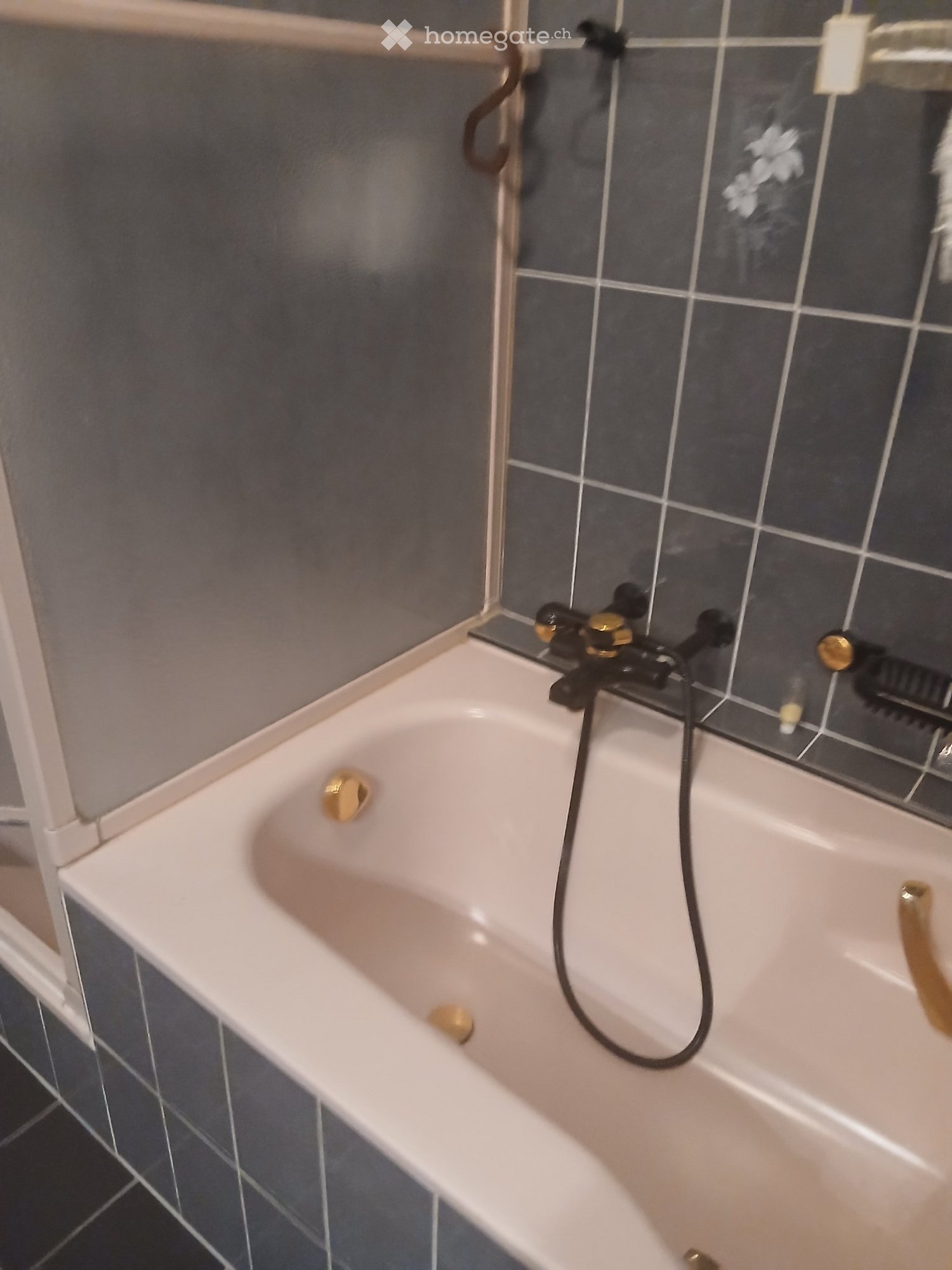 1 ½ rooms apartment, photo 2 sur 5