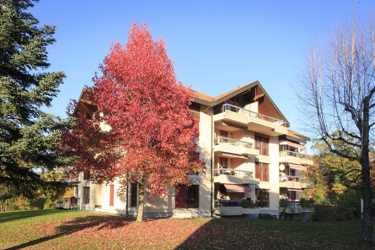 2 ½ Zimmer-Wohnung, Foto 6 von 6