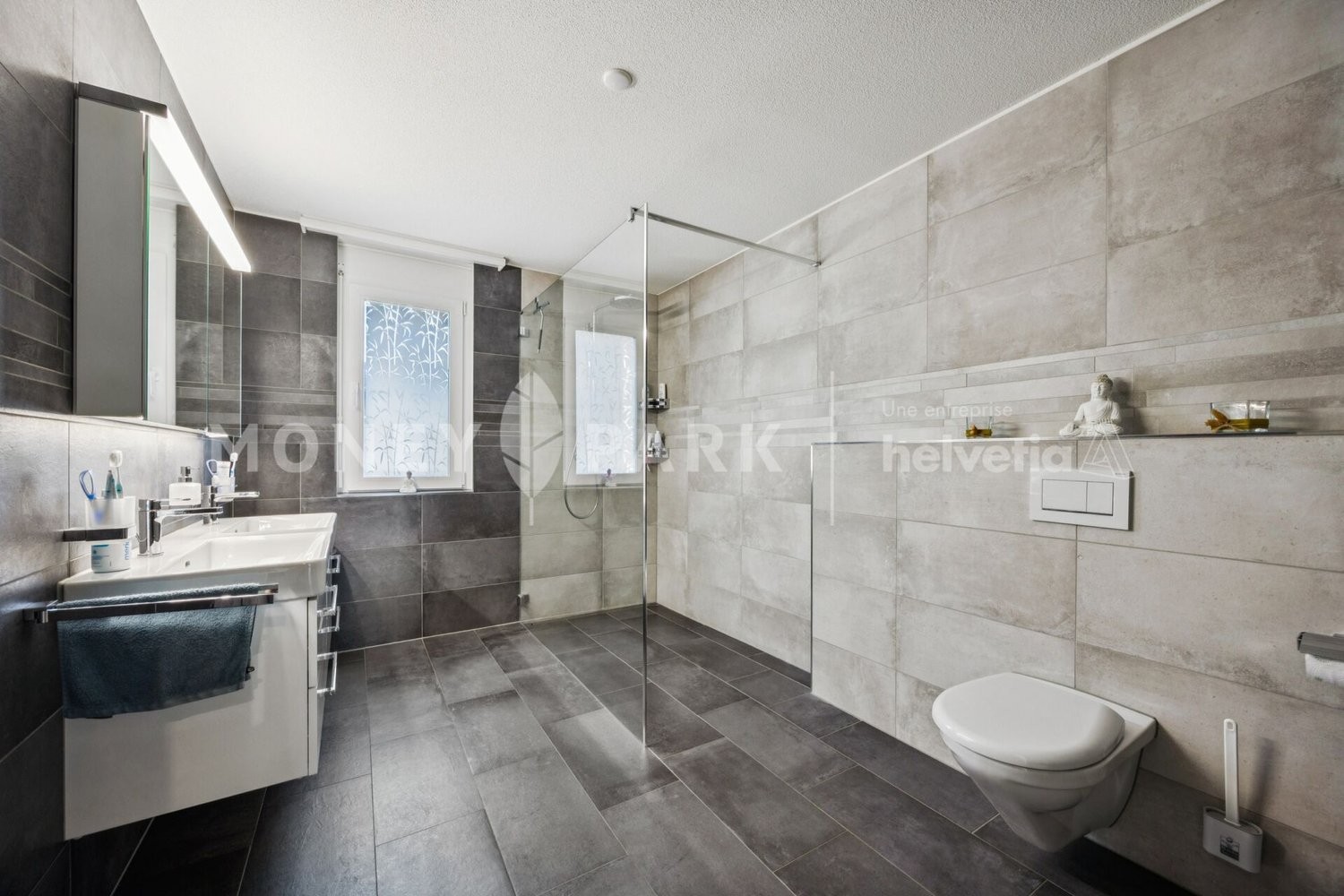 4 ½ rooms apartment (9)