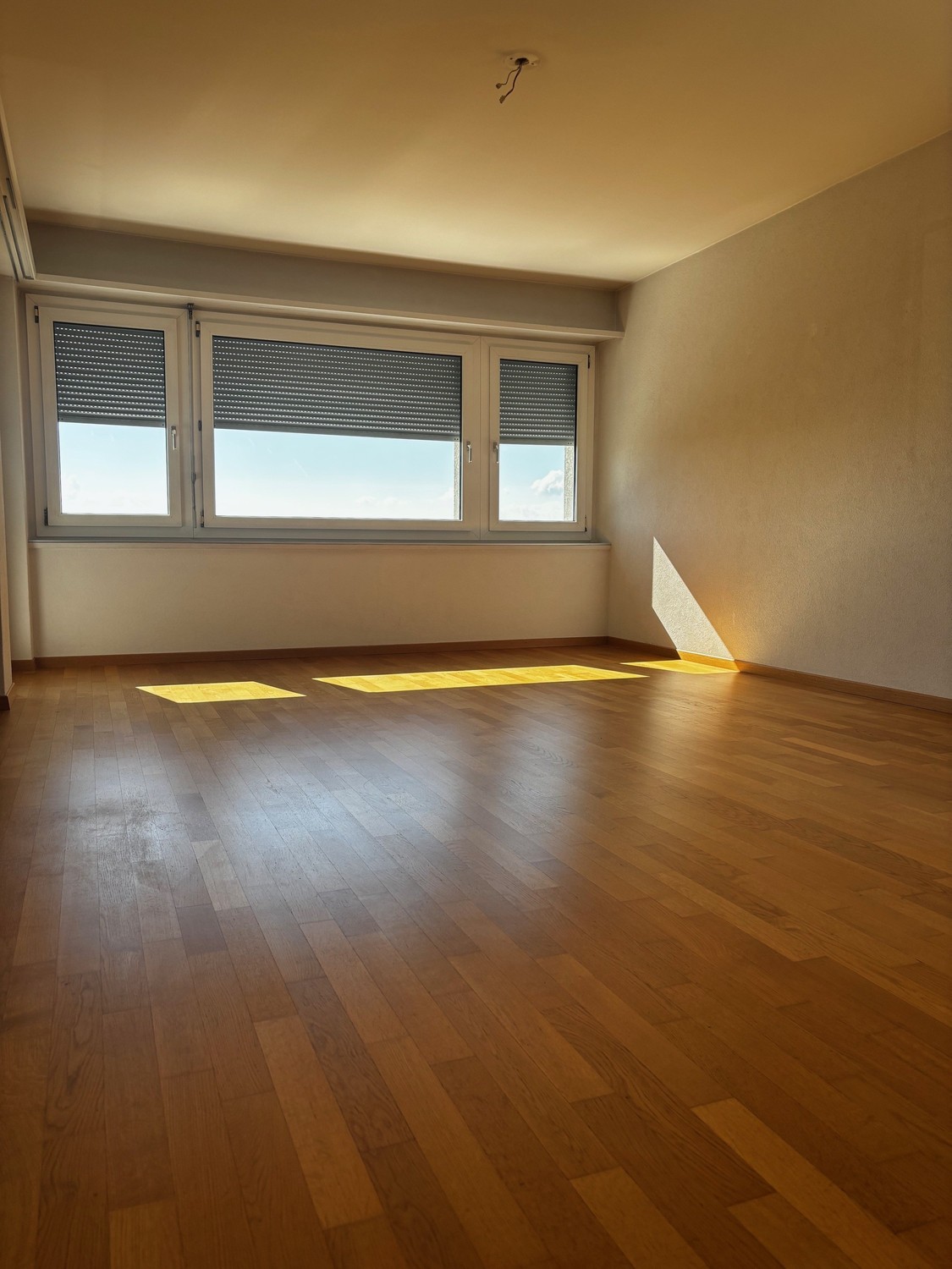 3 ½ rooms attic flat