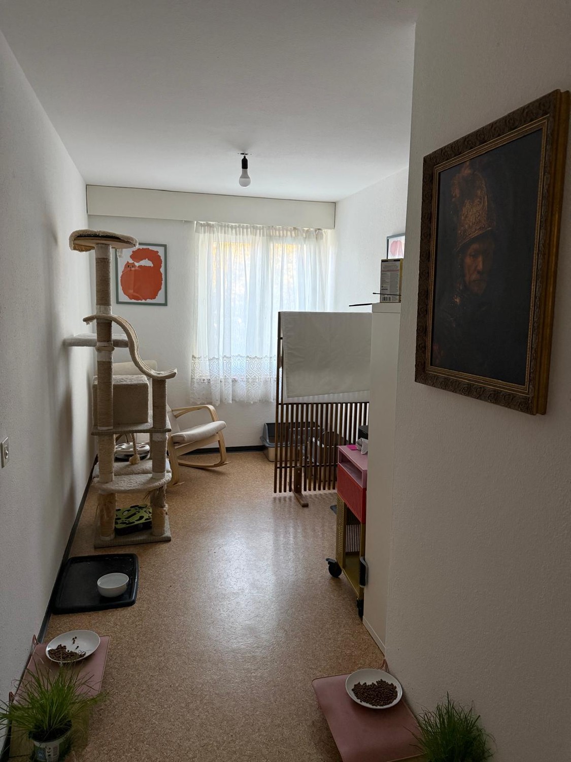 Appartement de 3 ½ pièces