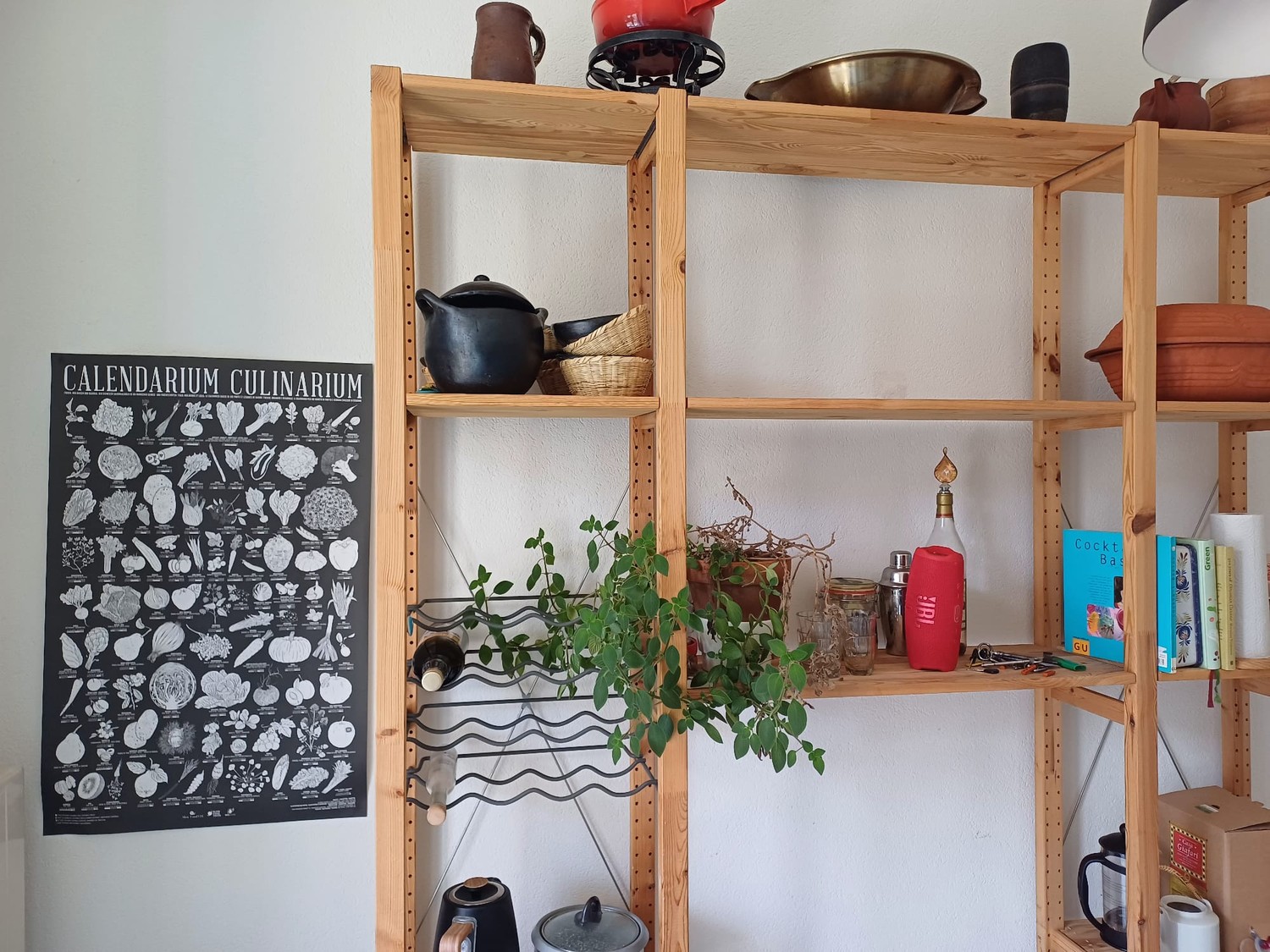 Room in a shared flat