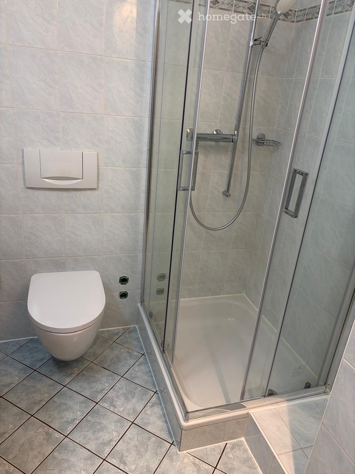 4 ½ Zimmer Wohnung