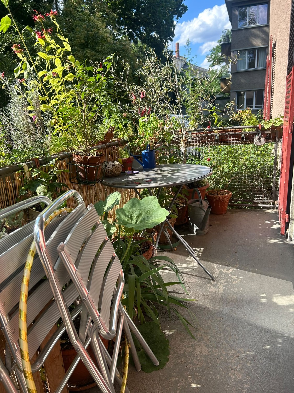 2 rooms apartment, Foto 5 von 5