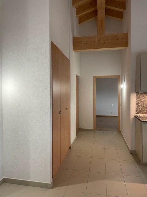 3 ½ Zimmer-Wohnung