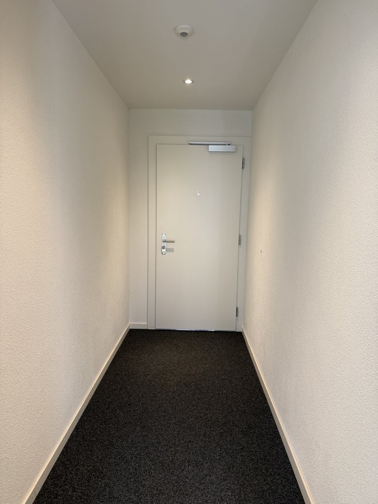 119m² commerciale