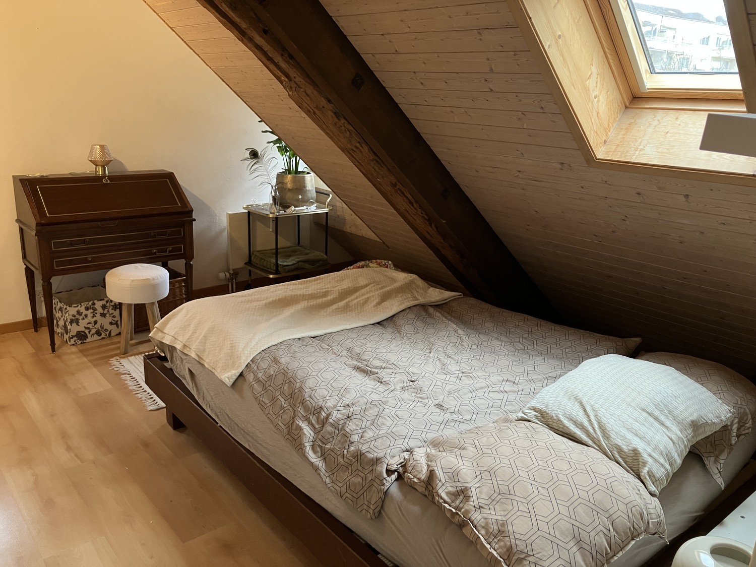 Room in a shared flat