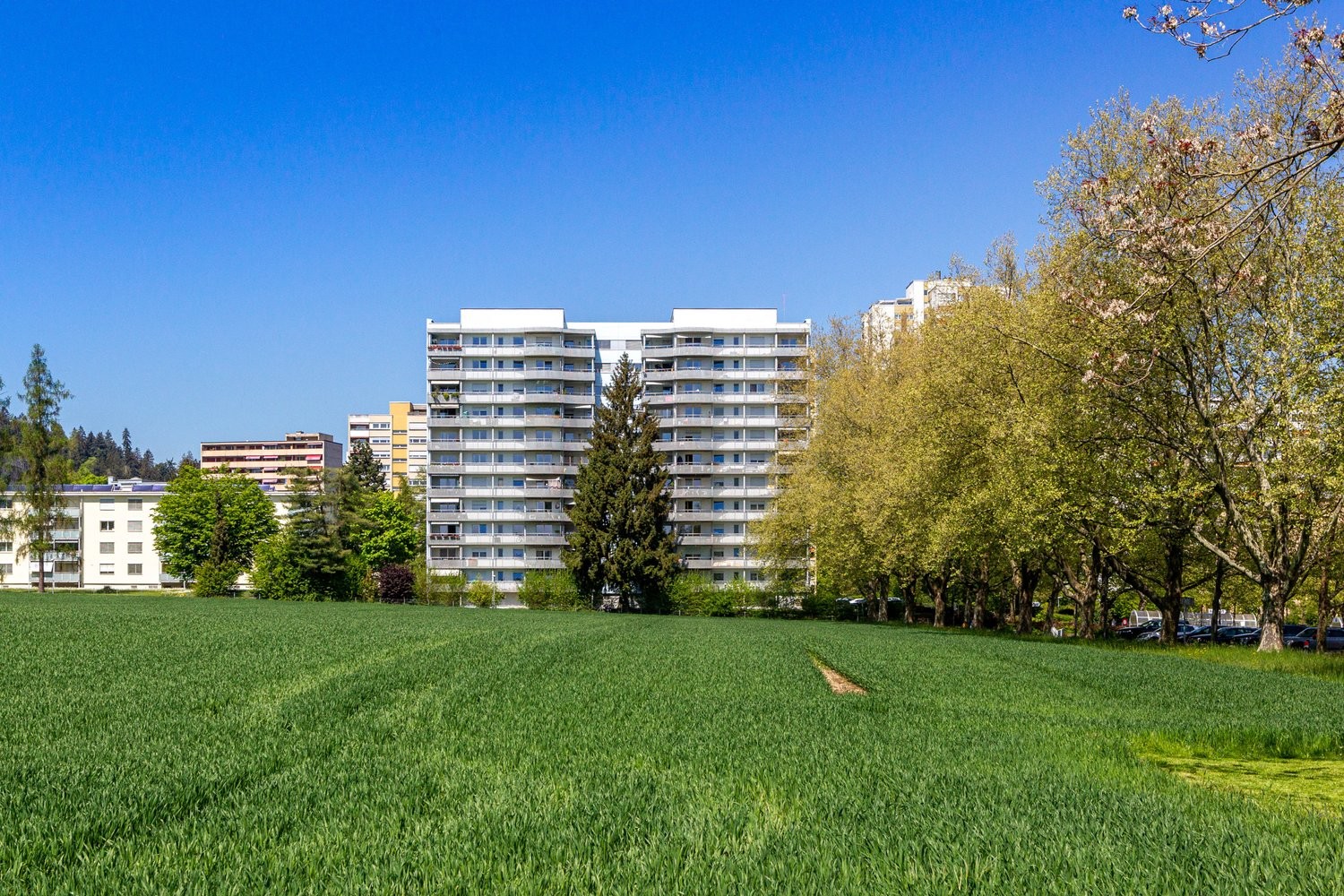 2 pièces appartement