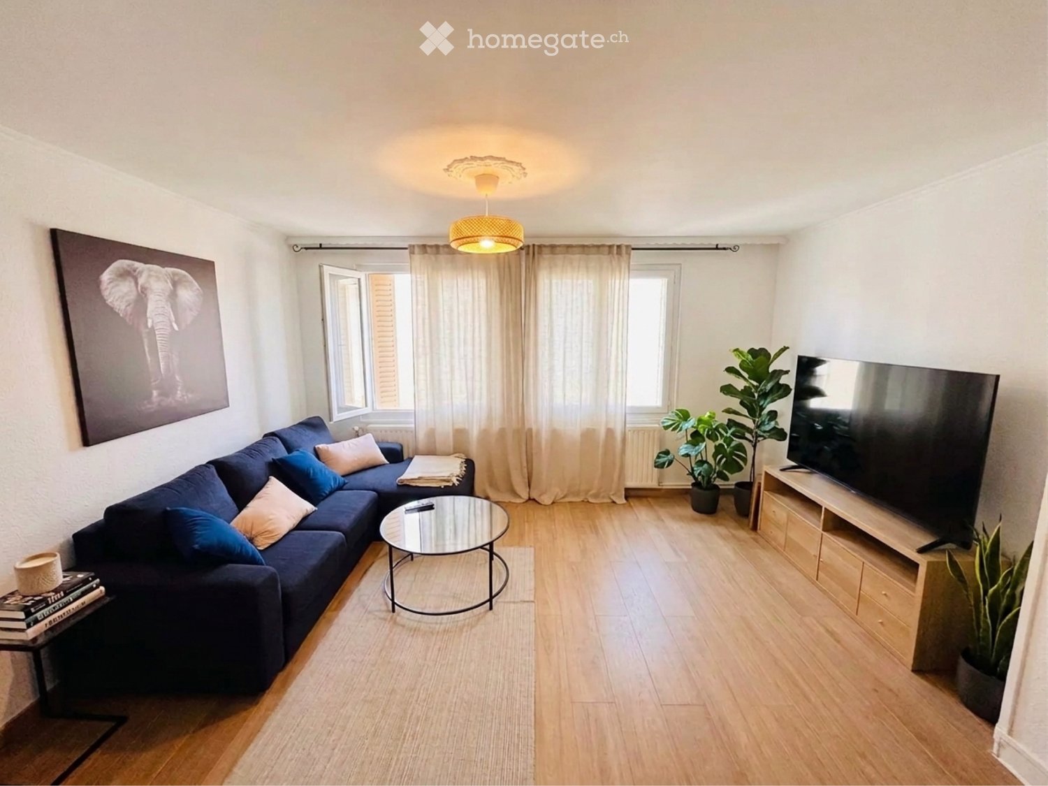 1 room single room