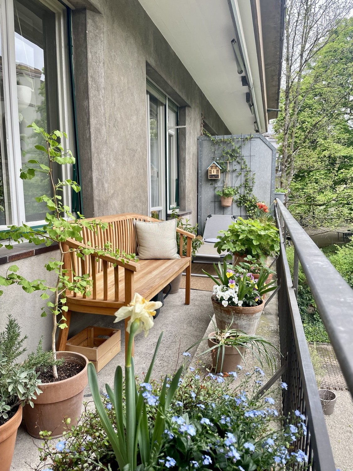 2 ½ Zimmer Wohnung, Foto 10 von 10