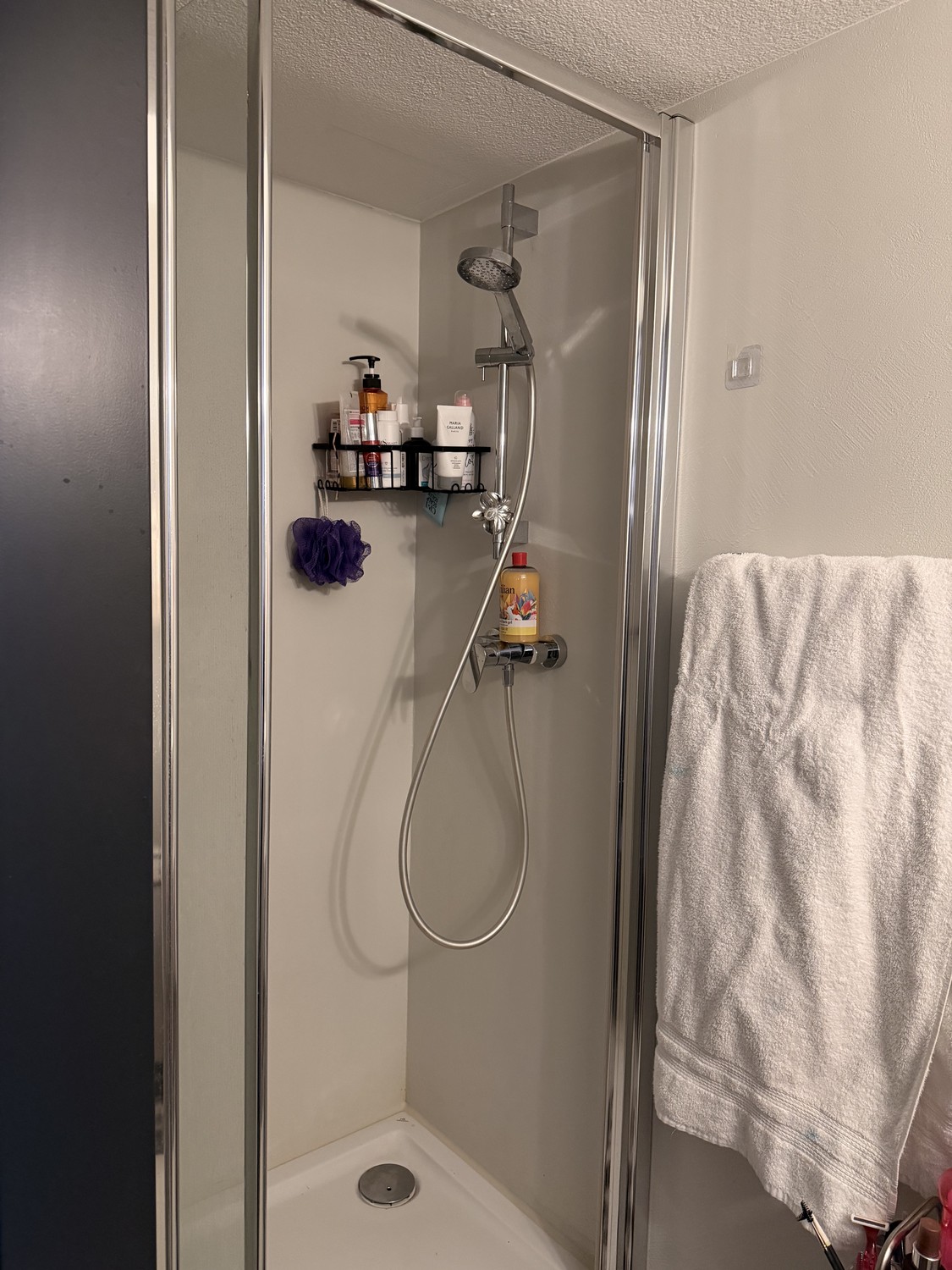 2 ½ Zimmer Wohnung